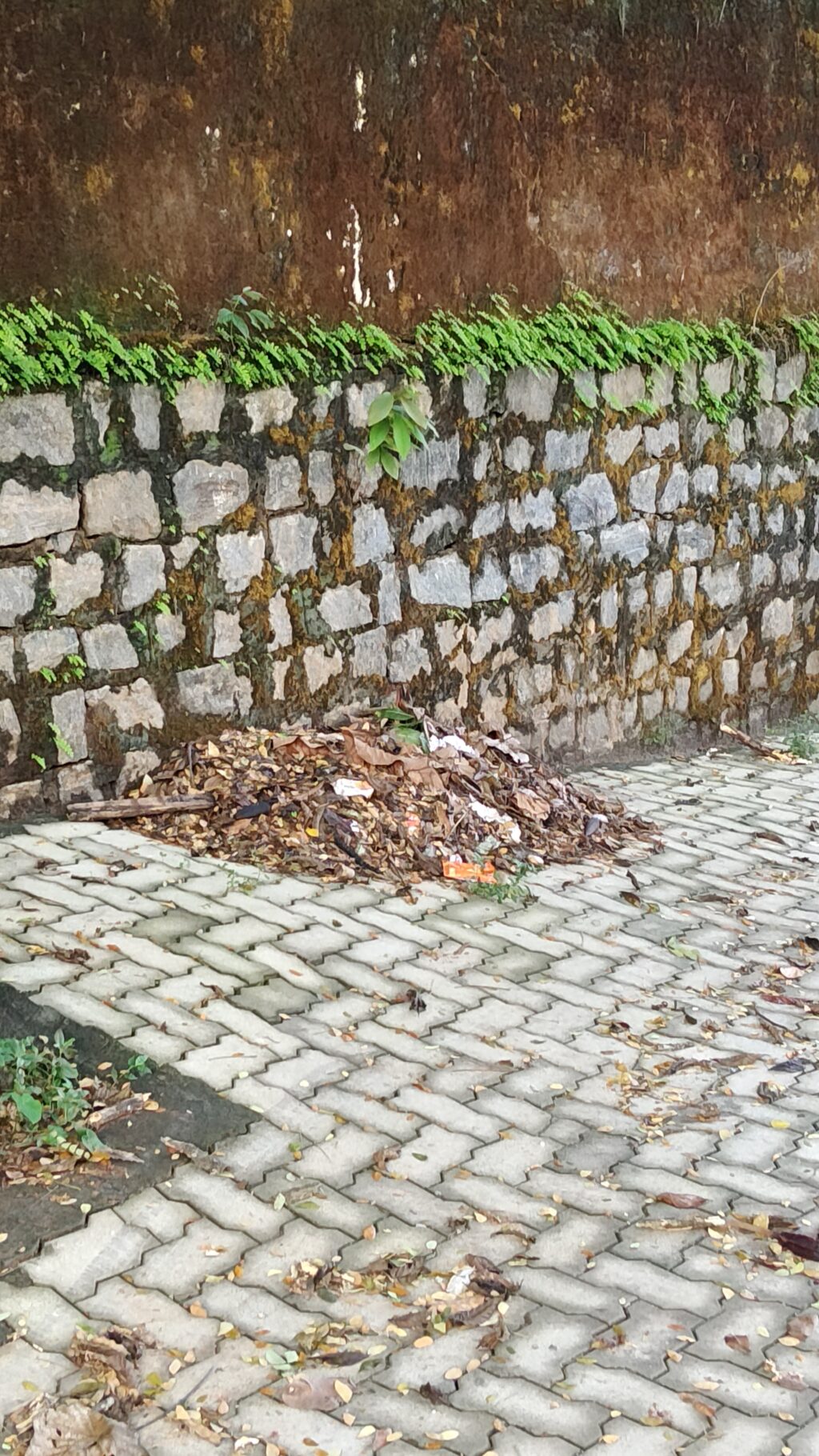 IMG20260616073156.jpg