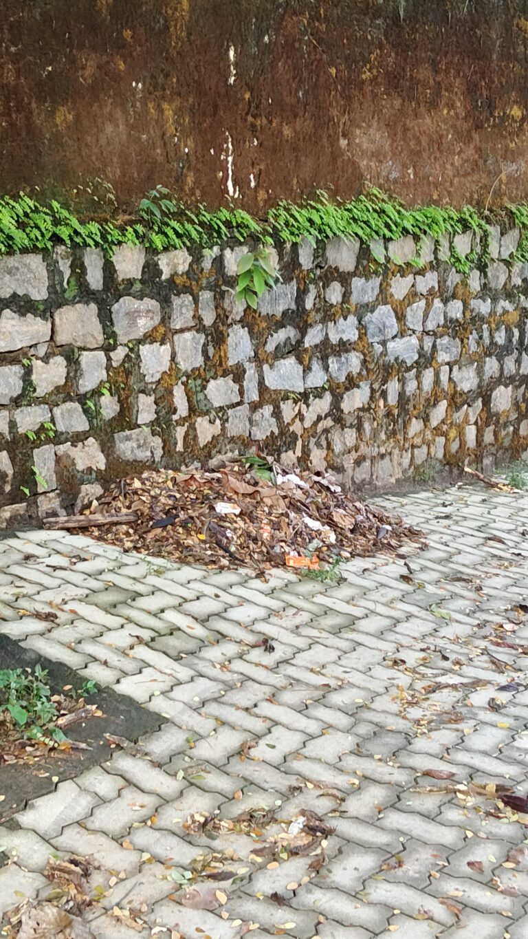 IMG20260616073156.jpg