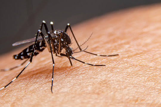 images-18.jpeg